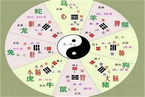 哲五行|哲是什么属性